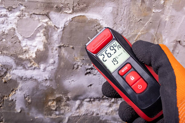 Best Mold Removal Near Me  in Universal City, TX