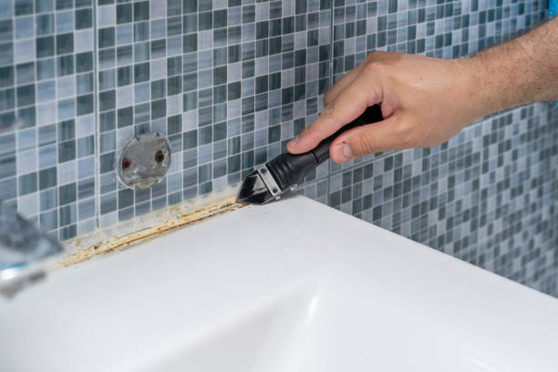 Best Same-Day Mold Removal  in Universal City, TX