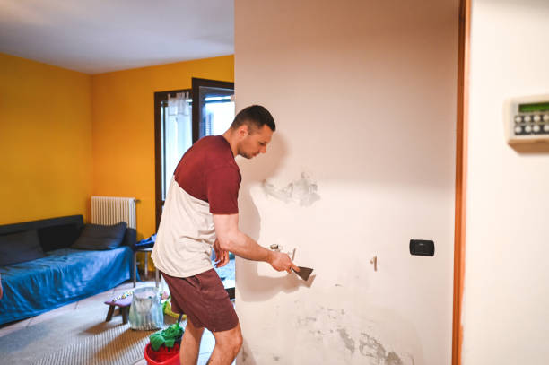 Best Attic Mold Removal  in Universal City, TX